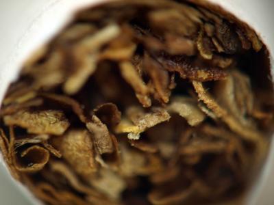 Прикрепленное изображение: ciga.jpg